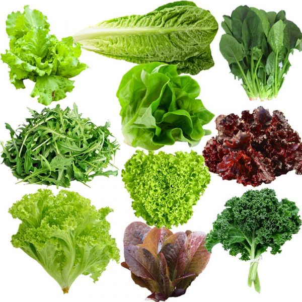 10 Varieties of Lettuce Seeds