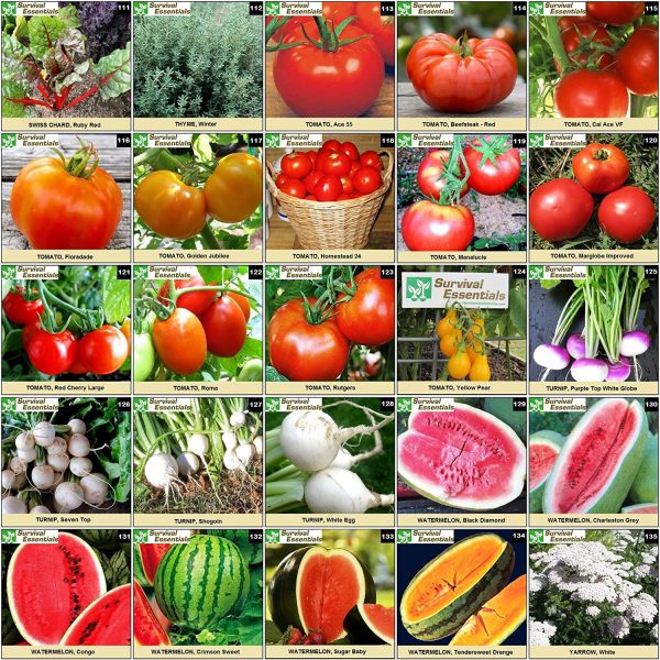 Heirloom Vegetable and Fruit Seeds