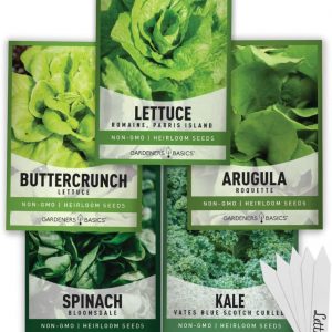 Lettuce and Greens Seeds