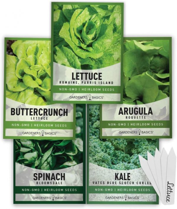 Lettuce and Greens Seeds