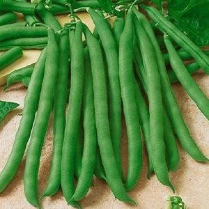 Green Bean Seeds for Planting