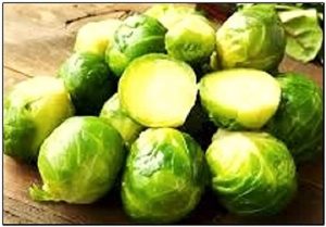 250 Brussel Sprout Seeds