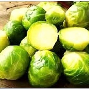 250 Brussel Sprout Seeds