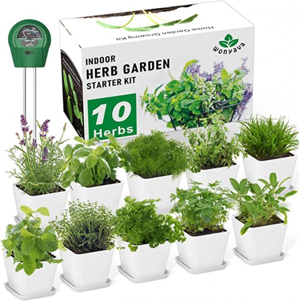 10 Herb Garden Indoor Starter Kit